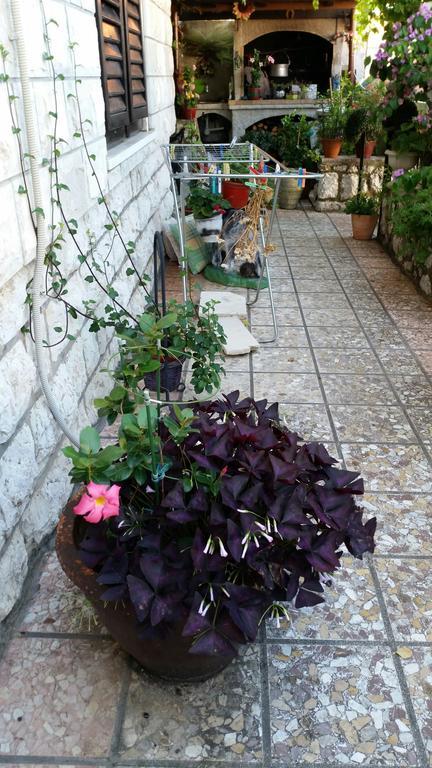 Guesthouse Ivona Dubrovnik Værelse billede