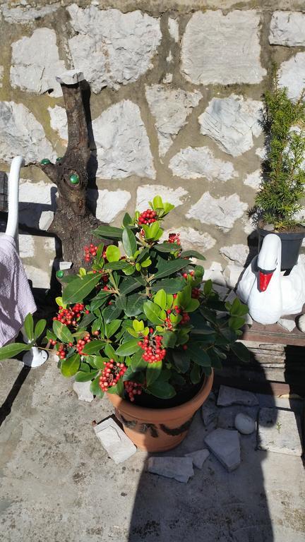 Guesthouse Ivona Dubrovnik Værelse billede