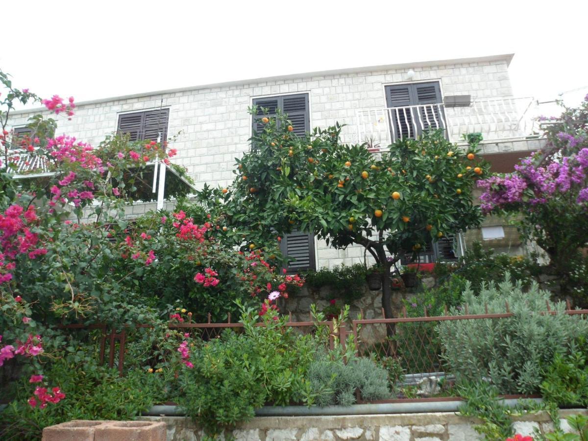 Guesthouse Ivona Dubrovnik Værelse billede